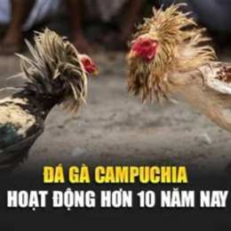 da ga campuchia 1/5/2020