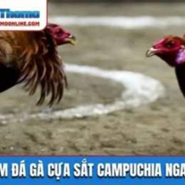 da ga campuchia 2017 truc tiep