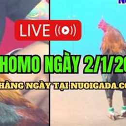 đá gà campuchia c3 hôm nay