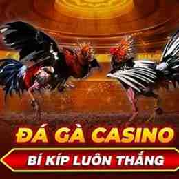 đá gà casino 369