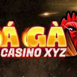 đá gà casino mới nhất hôm nay
