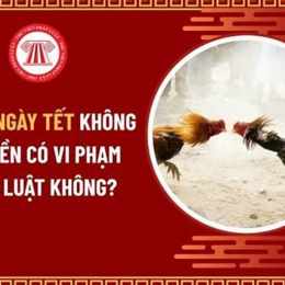 đá gà có vi phạm không