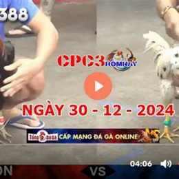 đá gà cpc 3 hôm nay