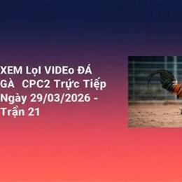 đá gà cpc2 21/8