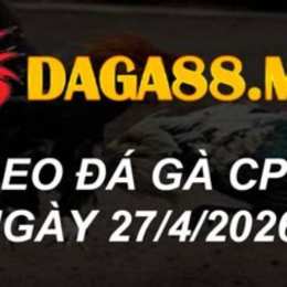 đá gà cpc2 ngày 5 7
