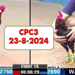 da ga cpc3 12/1