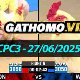 da ga cpc3 27/5