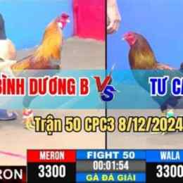 đá gà cpc3 8 12 trận 44