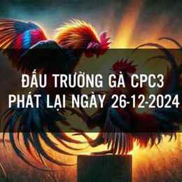 đá gà cpc3 ngày 26 10