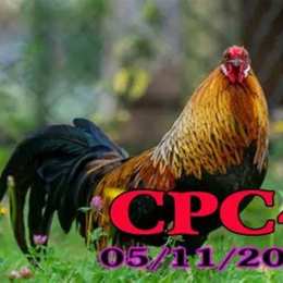 da ga cpc4 hom nay