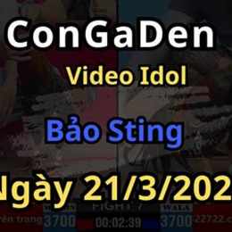 đá gà của bảo sting