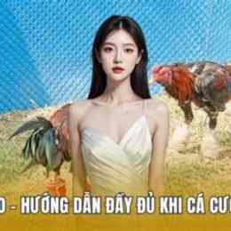 da ga cua dao 2017