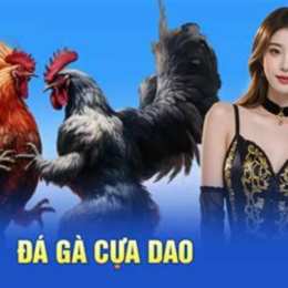 da ga cua dao https:gacam999.com