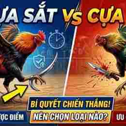da ga cua sat nam 2012