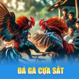 da ga cua sat tien lon 7789bet.top