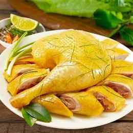 da ga dinh cao