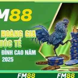 đá gà đoán đỉnh cao