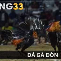 da ga don 2017