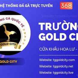 đá gà đơn gold city