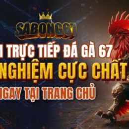 da ga don truc tiep