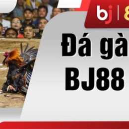 đá gà dv1