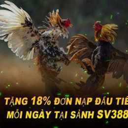 đá gà e2bet e2bet9.com