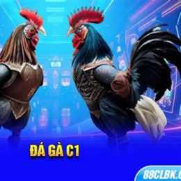 đá gà giải c1