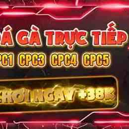 đá gà giải c3 hôm nay duyên ti