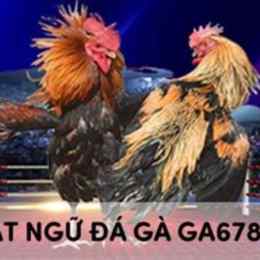 da ga giai tonhon
