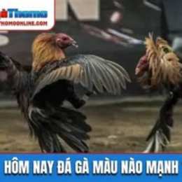 da ga hom nayc2