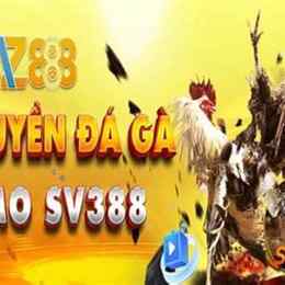 đá gà mạng 888