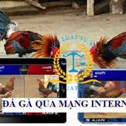 đá gà mạng uy tín