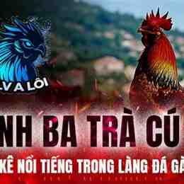 đá gà miền tây 2020