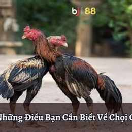 đa ga moc bai com