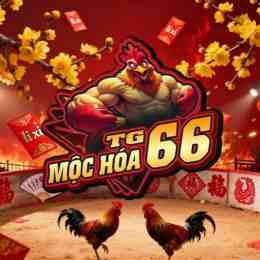 đá gà mộc hóa trực tiếp