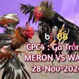 đá gà mới nhất 2016