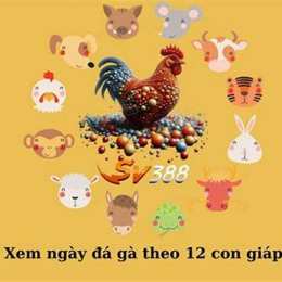 da ga ngay 12 12