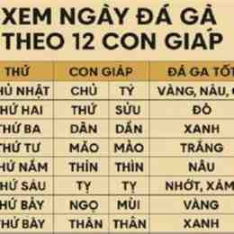 da ga ngay 15/5