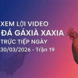 đá gà ngày 30