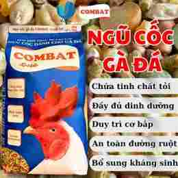 đá gà ngày 6 tháng 11