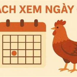 da ga ngay 6/9