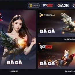 đá gà nhà cái m8win
