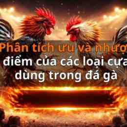 đá gà phí