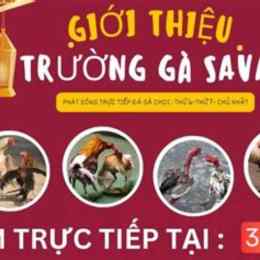 đá gà savan tía đại tướng