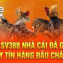 đá gà sv388 net