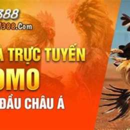 đá gà sv388 tổng
