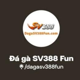 đá gà sv388fun.com