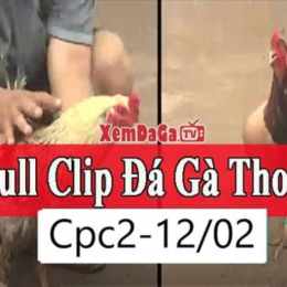 đa ga thomo 12 1