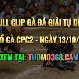 da ga thomo 13 10 2023
