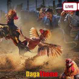 da ga thomo 20 9 2023